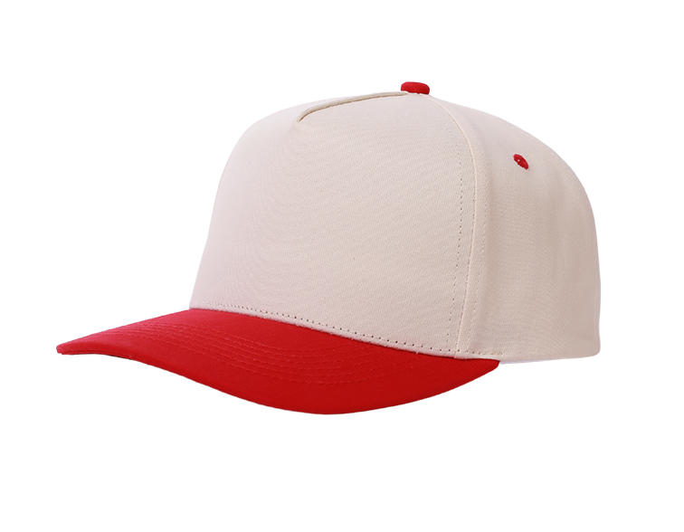 Set the Tone Snapback